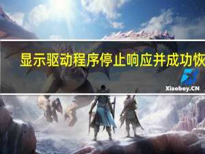 显示驱动程序停止响应并成功恢复