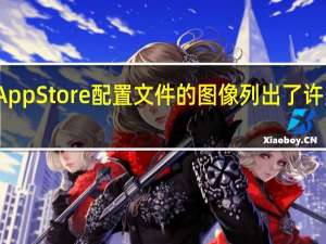 显示AppStore配置文件的图像列出了许多包标识符
