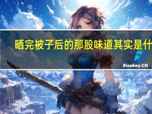 晒完被子后的那股味道其实是什么
