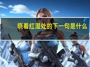 晓看红湿处的下一句是什么
