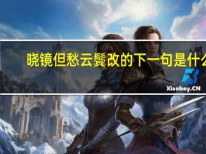 晓镜但愁云鬓改的下一句是什么
