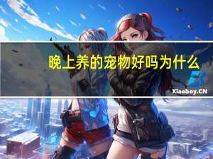 晚上养的宠物好吗为什么