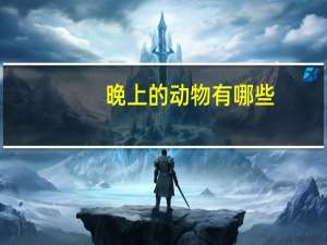 晚上的动物有哪些