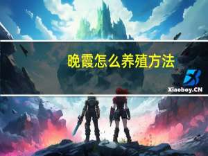 晚霞怎么养殖方法