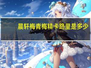 晨轩梅青梅精卡路里是多少