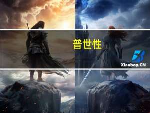 普世性（普世）