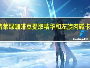 普丽普莱 绿咖啡豆提取精华和左旋肉碱卡路里是多少