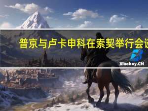 普京与卢卡申科在索契举行会谈