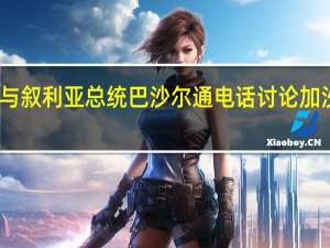 普京与叙利亚总统巴沙尔通电话 讨论加沙地带局势