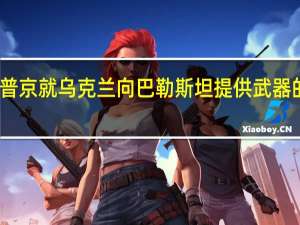 普京就乌克兰向巴勒斯坦提供武器的报道：我怀疑是否有来自乌克兰的武器供应但确实有来自乌克兰的武器泄漏