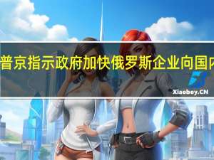 普京指示政府加快俄罗斯企业向国内迁册