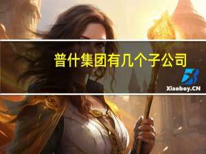 普什集团有几个子公司