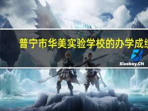 普宁市华美实验学校的办学成绩