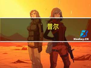 普尔（关于普尔的介绍）