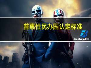 普惠性民办园认定标准（普惠性民办园）