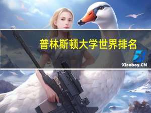 普林斯顿大学世界排名