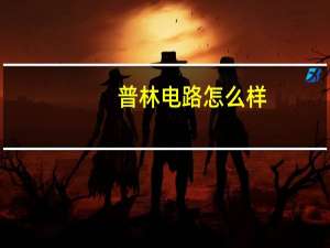 普林电路怎么样