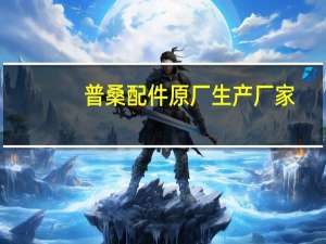 普桑配件原厂生产厂家（普桑配件）