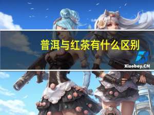 普洱与红茶有什么区别