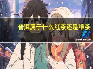 普洱属于什么红茶还是绿茶