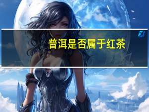 普洱是否属于红茶