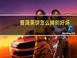 普洱茶饼怎么辨别好坏