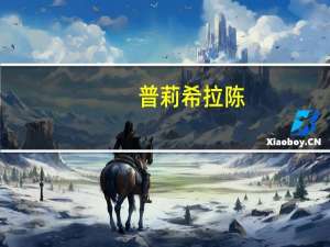 普莉希拉陈（普莉希拉 陈）
