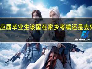 普通二本应届毕业生该留在家乡考编还是去外面大城市打拼