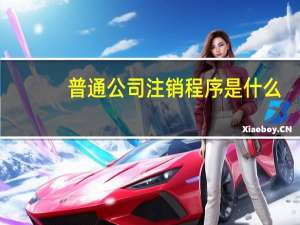 普通公司注销程序是什么