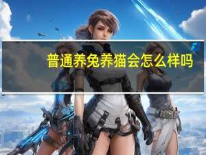 普通养兔养猫会怎么样吗