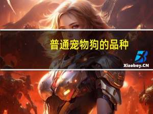 普通宠物狗的品种