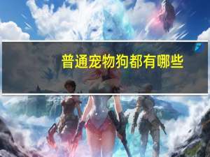 普通宠物狗都有哪些