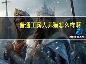 普通工薪人养猫怎么样啊