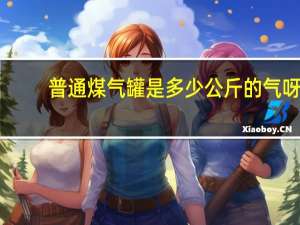 普通煤气罐是多少公斤的气呀