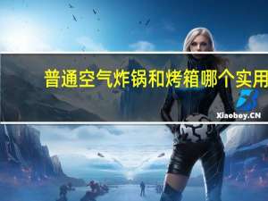 普通空气炸锅和烤箱哪个实用（空气炸锅和烤箱哪个实用）