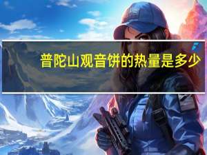 普陀山 观音饼的热量是多少