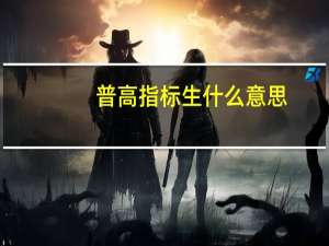普高指标生什么意思