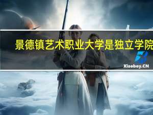 景德镇艺术职业大学是独立学院吗