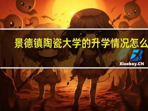 景德镇陶瓷大学的升学情况怎么样