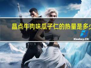 晶点 牛肉味瓜子仁的热量是多少