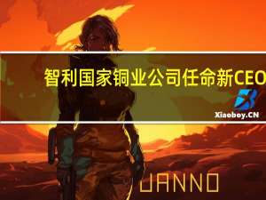 智利国家铜业公司任命新CEO