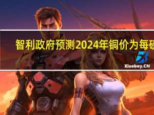 智利政府预测2024年铜价为每磅3.85美元