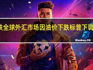 智利比索领跌全球外汇市场因油价下跌标普下调智利比索前景展望