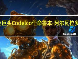 智利铜业巨头Codelco任命鲁本·阿尔瓦拉多为首席执行官