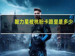 智力星 核桃粉卡路里是多少