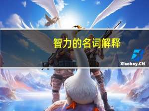 智力的名词解释