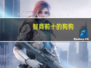 智商前十的狗狗