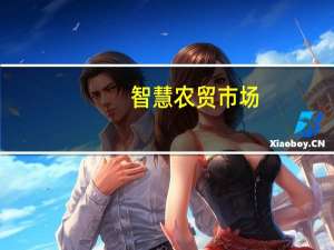 智慧农贸市场（关于智慧农贸市场的介绍）