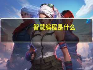 智慧编程是什么