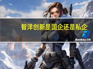 智洋创新是国企还是私企